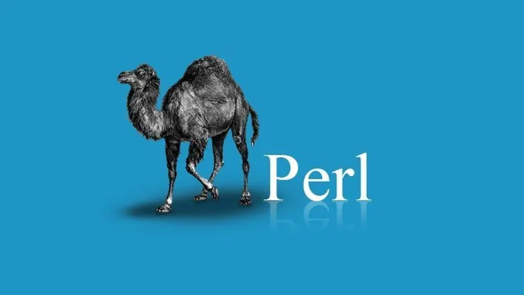 Database Transactions with 🐪 Perl